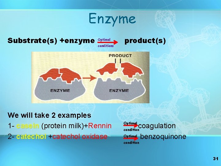 Enzyme Substrate(s) +enzyme Optimal conditions We will take 2 examples 1 - casein (protein