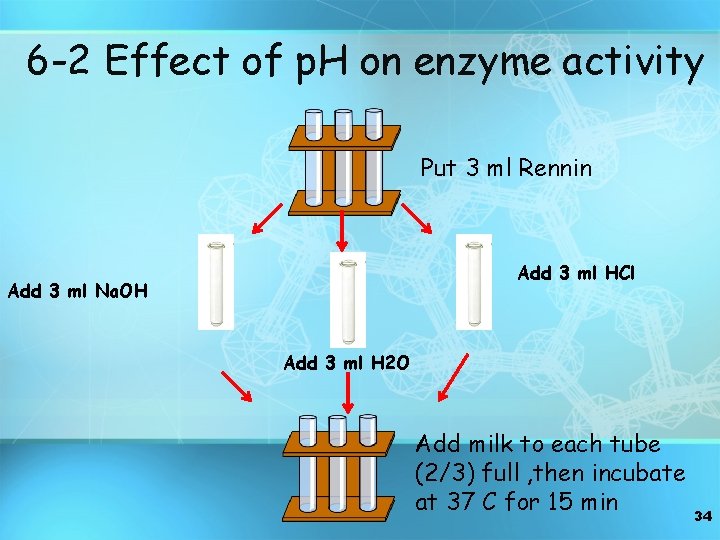 6 -2 Effect of p. H on enzyme activity Put 3 ml Rennin Add