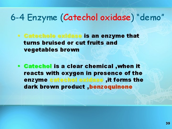 6 -4 Enzyme (Catechol oxidase) “demo” • Catechole oxidase is an enzyme that turns