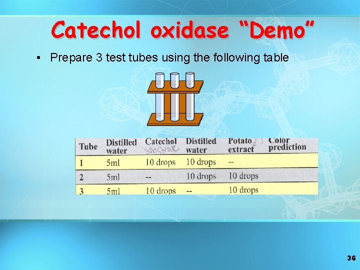 Catechol oxidase “Demo” • Prepare 3 test tubes using the following table 36 