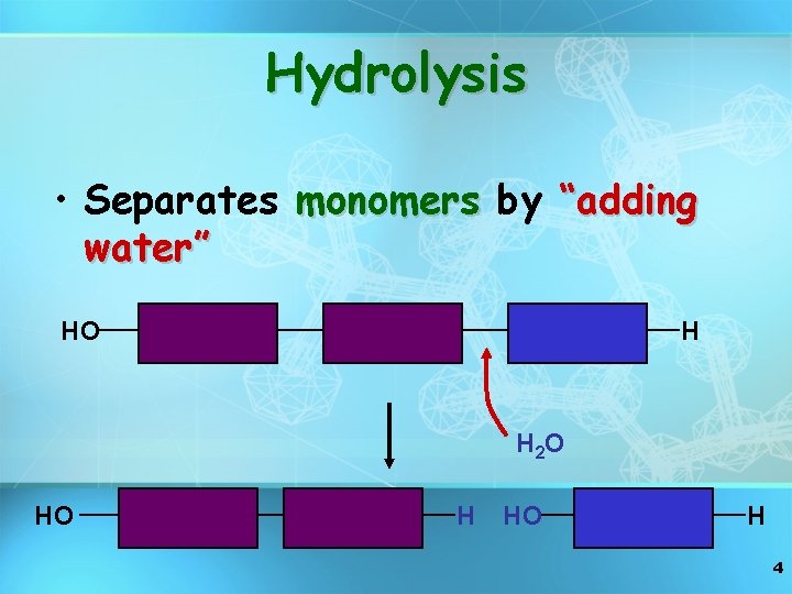 Hydrolysis • Separates monomers by “adding water” HO H H 2 O HO H
