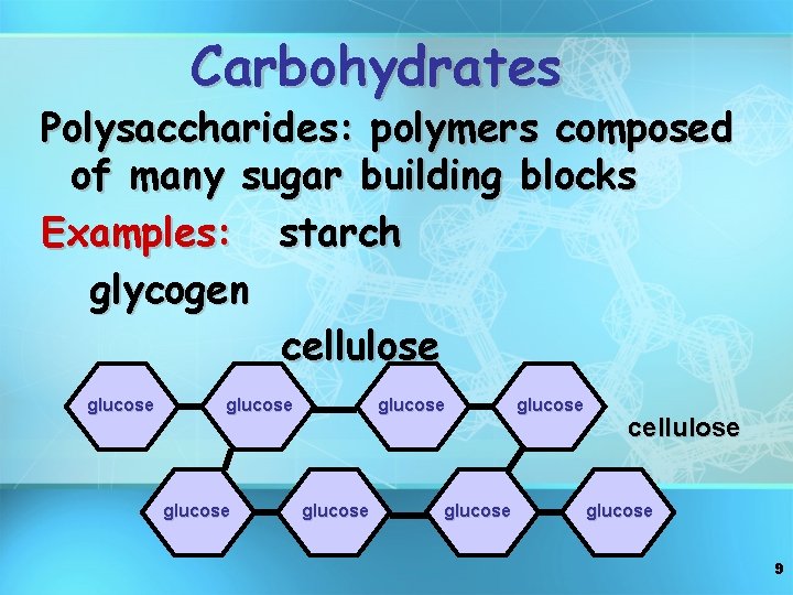 Carbohydrates Polysaccharides: polymers composed of many sugar building blocks Examples: starch glycogen cellulose glucose