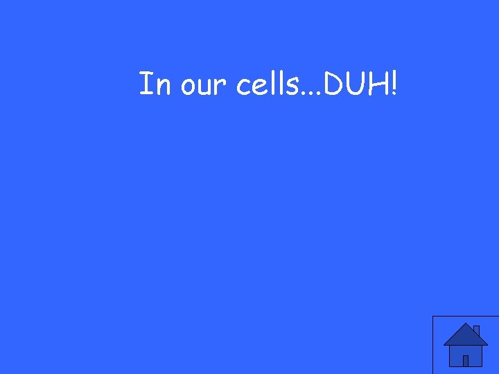 In our cells. . . DUH! 