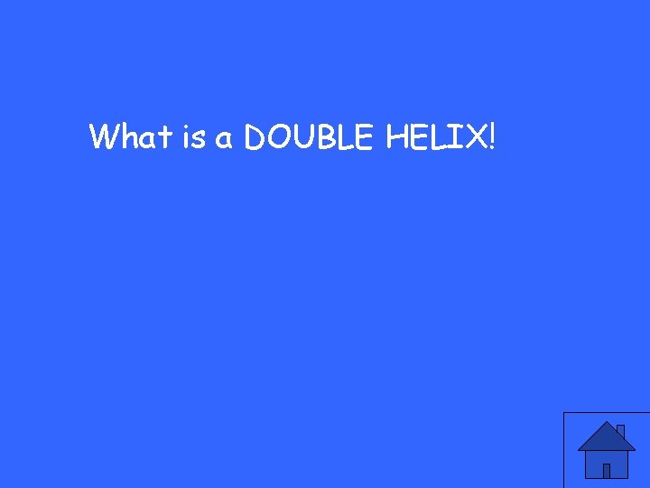 What is a DOUBLE HELIX! 