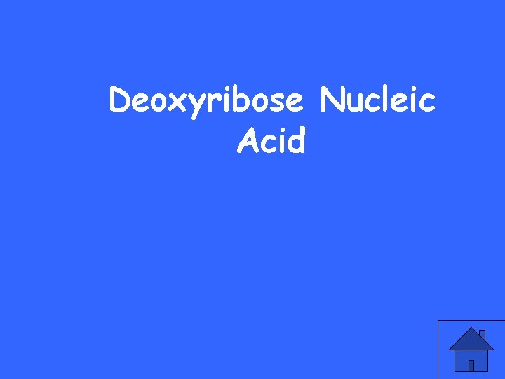 Deoxyribose Nucleic Acid 