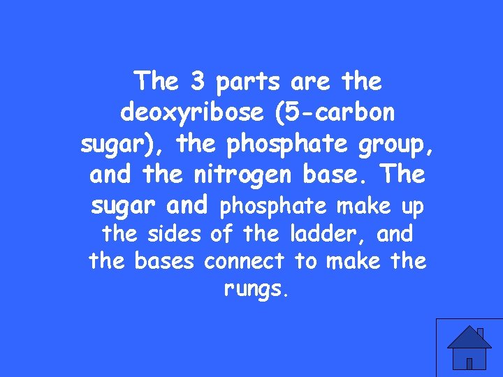 The 3 parts are the deoxyribose (5 -carbon sugar), the phosphate group, and the