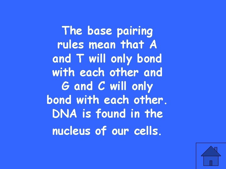 The base pairing rules mean that A and T will only bond with each