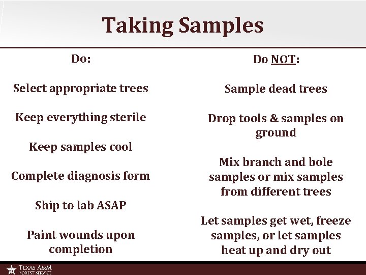 Taking Samples Do: Do NOT: Select appropriate trees Sample dead trees Keep everything sterile