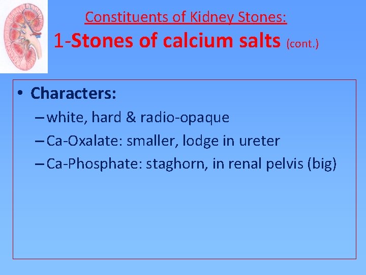 Constituents of Kidney Stones: 1 -Stones of calcium salts (cont. ) • Characters: –