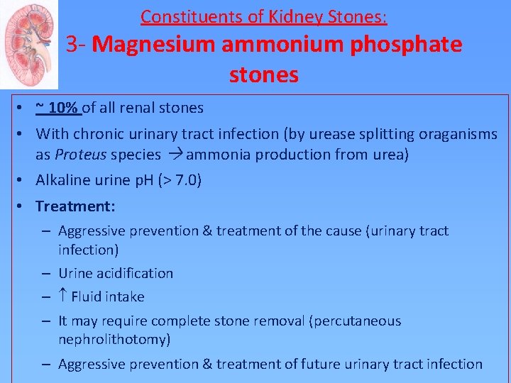 Constituents of Kidney Stones: 3 - Magnesium ammonium phosphate stones • ~ 10% of