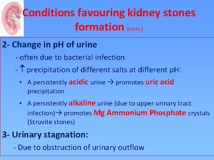 Conditions favouring kidney stones formation (cont. ) 2 - Change in p. H of