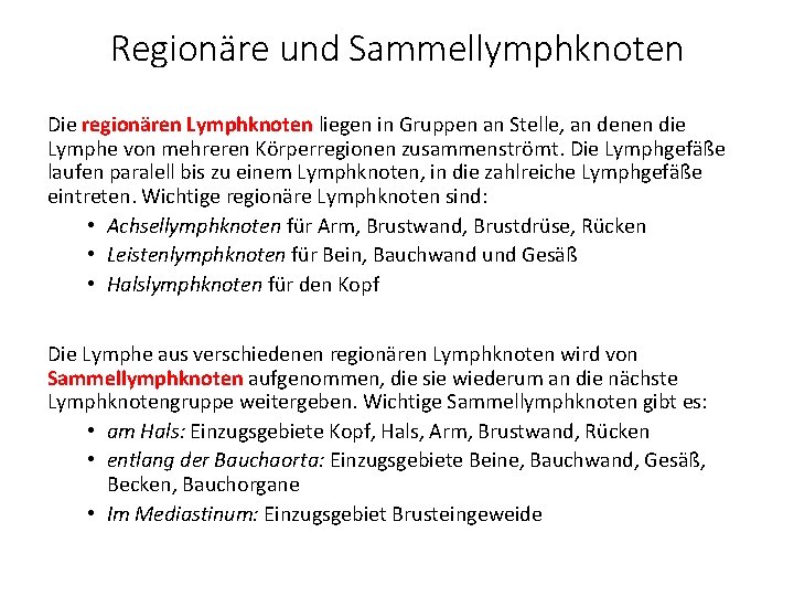 Regionäre und Sammellymphknoten Die regionären Lymphknoten liegen in Gruppen an Stelle, an denen die