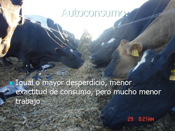 Autoconsumo. n Igual o mayor desperdicio, menor exactitud de consumo, pero mucho menor trabajo