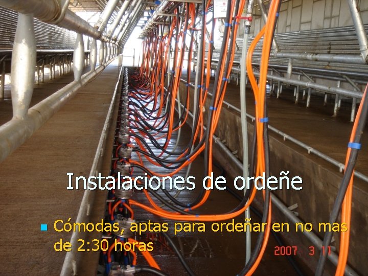 Instalaciones de ordeñe n Cómodas, aptas para ordeñar en no mas de 2: 30