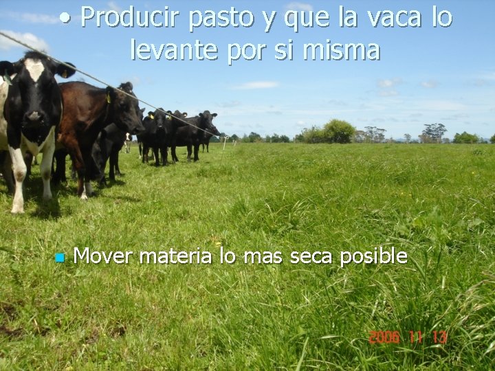  • Producir pasto y que la vaca lo levante por si misma n