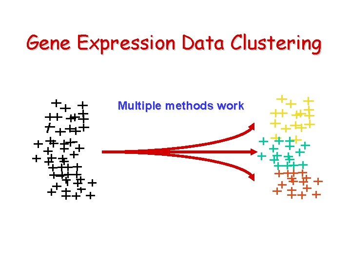 Gene Expression Data Clustering Multiple methods work 