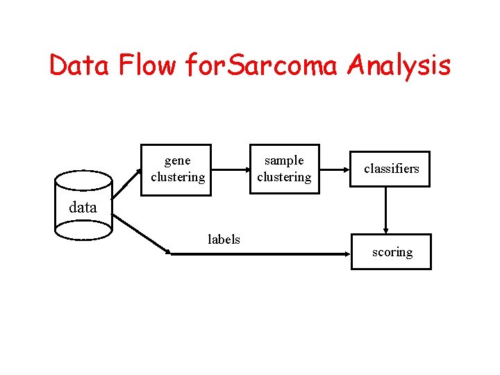 Data Flow for. Sarcoma Analysis gene clustering sample clustering classifiers data labels scoring 