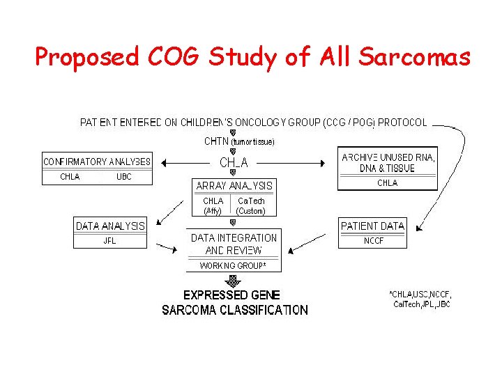 Proposed COG Study of All Sarcomas 