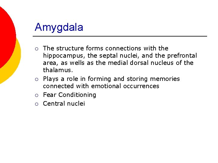 Amygdala ¡ ¡ The structure forms connections with the hippocampus, the septal nuclei, and