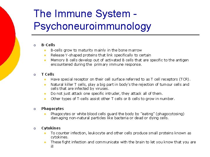 The Immune System Psychoneuroimmunology ¡ B-Cells l B-cells grow to maturity mainly in the