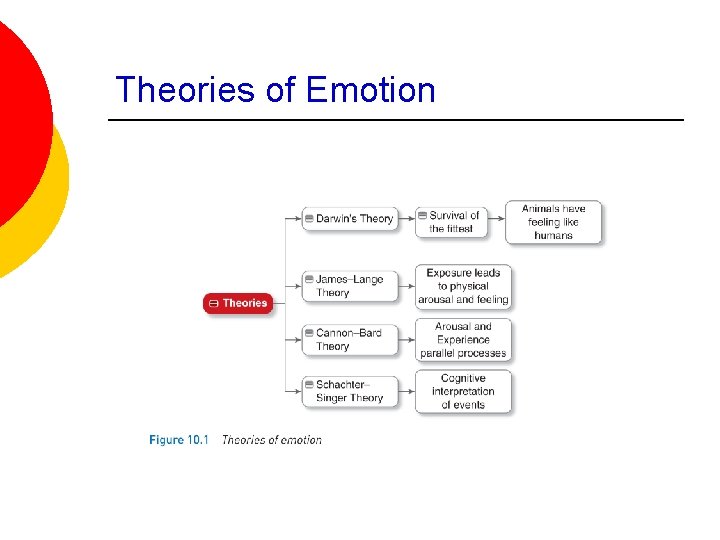 Theories of Emotion 
