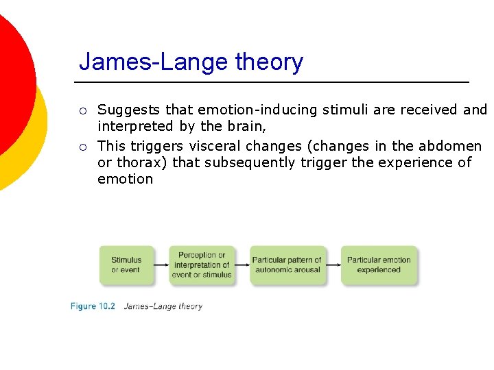 James-Lange theory ¡ ¡ Suggests that emotion-inducing stimuli are received and interpreted by the