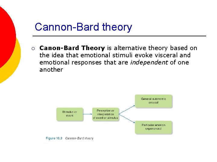 Cannon-Bard theory ¡ Canon-Bard Theory is alternative theory based on the idea that emotional