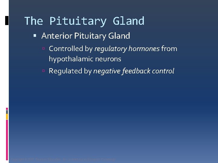 The Pituitary Gland Anterior Pituitary Gland Controlled by regulatory hormones from hypothalamic neurons Regulated