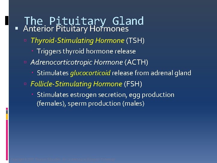 The Pituitary Gland Anterior Pituitary Hormones Thyroid-Stimulating Hormone (TSH) Triggers thyroid hormone release Adrenocorticotropic