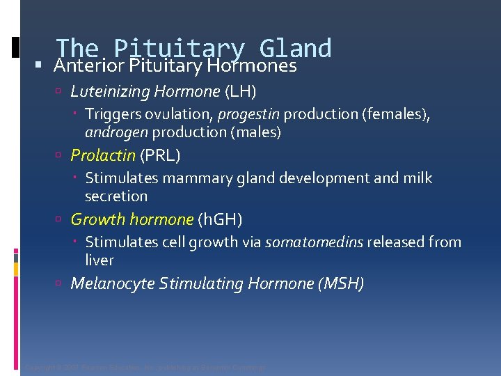 The Pituitary Gland Anterior Pituitary Hormones Luteinizing Hormone (LH) Triggers ovulation, progestin production (females),