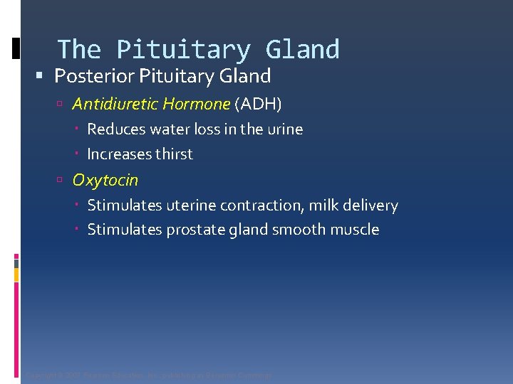 The Pituitary Gland Posterior Pituitary Gland Antidiuretic Hormone (ADH) Reduces water loss in the