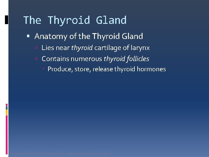 The Thyroid Gland Anatomy of the Thyroid Gland Lies near thyroid cartilage of larynx