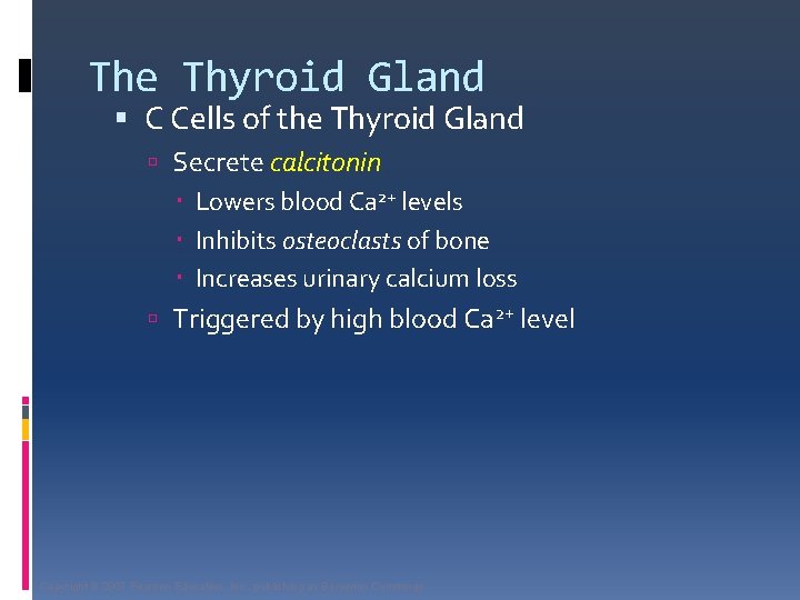 The Thyroid Gland C Cells of the Thyroid Gland Secrete calcitonin Lowers blood Ca