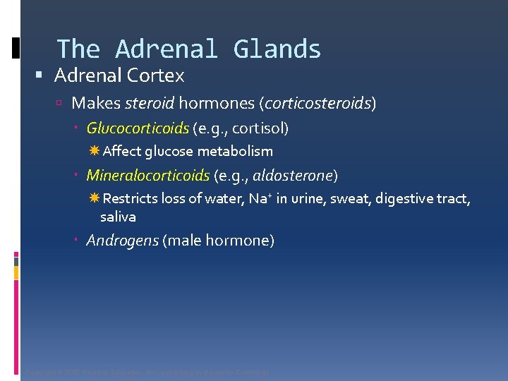 The Adrenal Glands Adrenal Cortex Makes steroid hormones (corticosteroids) Glucocorticoids (e. g. , cortisol)