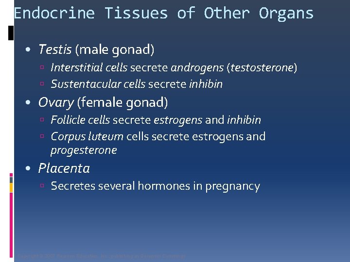 Endocrine Tissues of Other Organs • Testis (male gonad) Interstitial cells secrete androgens (testosterone)