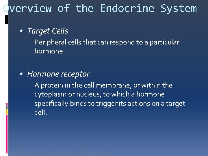 Overview of the Endocrine System • Target Cells Peripheral cells that can respond to