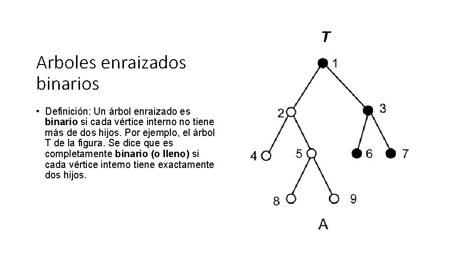 Arboles enraizados binarios • Definición: Un árbol enraizado es binario si cada vértice interno