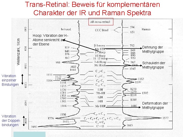 Wellenzahl, 1/cm Trans-Retinal: Beweis für komplementären Charakter der IR und Raman Spektra Hoop: Vibration