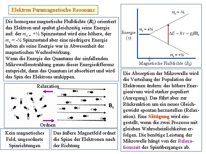 Elektron Paramagnetische Resonanz Die homogene magnetische Flußdichte (B 0) orientiert das Elektron und spaltet