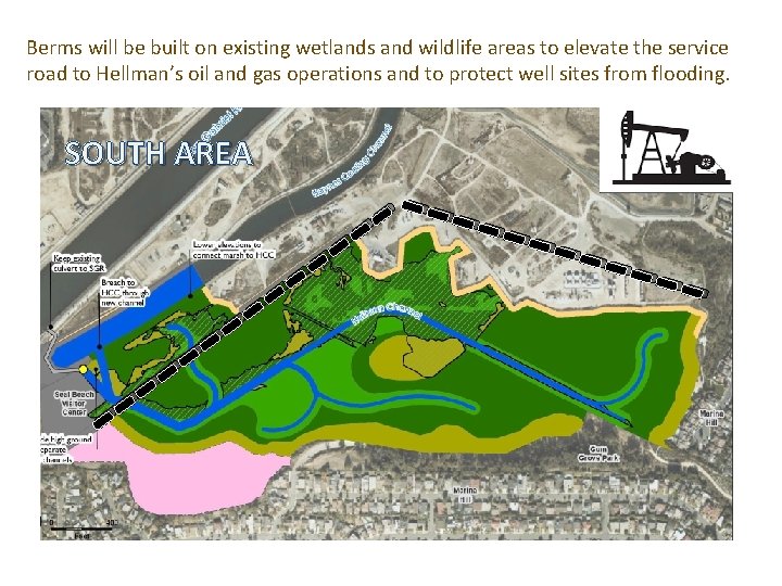 Berms will be built on existing wetlands and wildlife areas to elevate the service