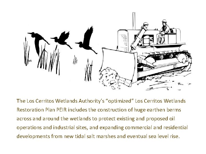 The Los Cerritos Wetlands Authority’s “optimized” Los Cerritos Wetlands Restoration Plan PEIR includes the