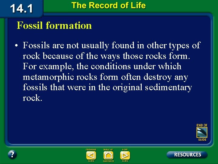 Fossil formation • Fossils are not usually found in other types of rock because
