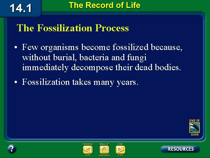 The Fossilization Process • Few organisms become fossilized because, without burial, bacteria and fungi