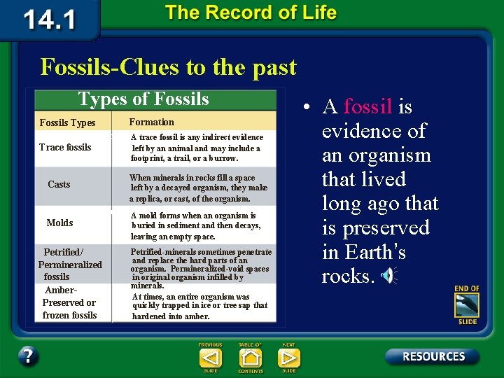 Fossils-Clues to the past Types of Fossils Formation Fossils Types A trace fossil is