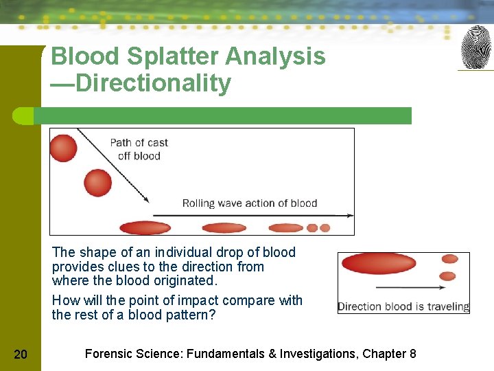 Blood Splatter Analysis —Directionality The shape of an individual drop of blood provides clues