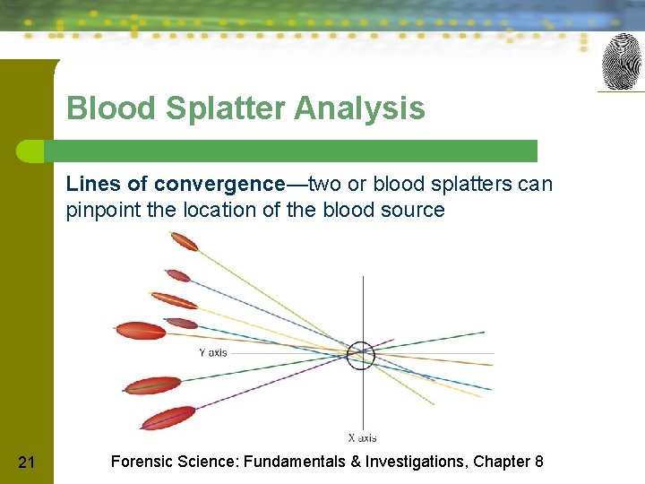 Blood Splatter Analysis Lines of convergence—two or blood splatters can pinpoint the location of