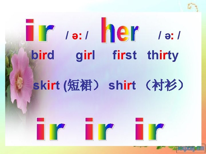 / ə: / bird girl / ə: / first thirty skirt (短裙） shirt （衬衫）