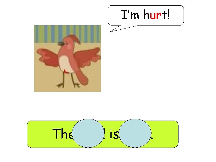 I’m hurt! The bird is hurt. 