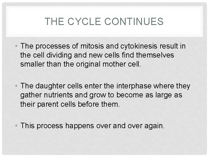 THE CYCLE CONTINUES • The processes of mitosis and cytokinesis result in the cell