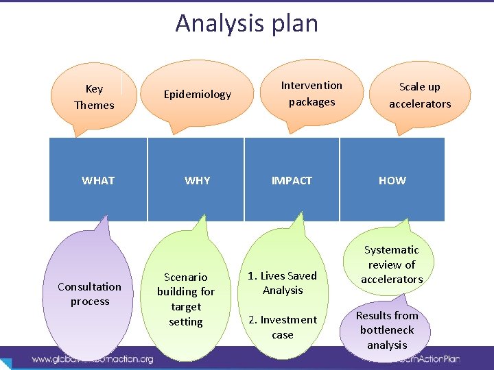 Analysis plan Key Themes WHAT Consultation process Epidemiology WHY Scenario building for target setting